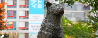 東京観光